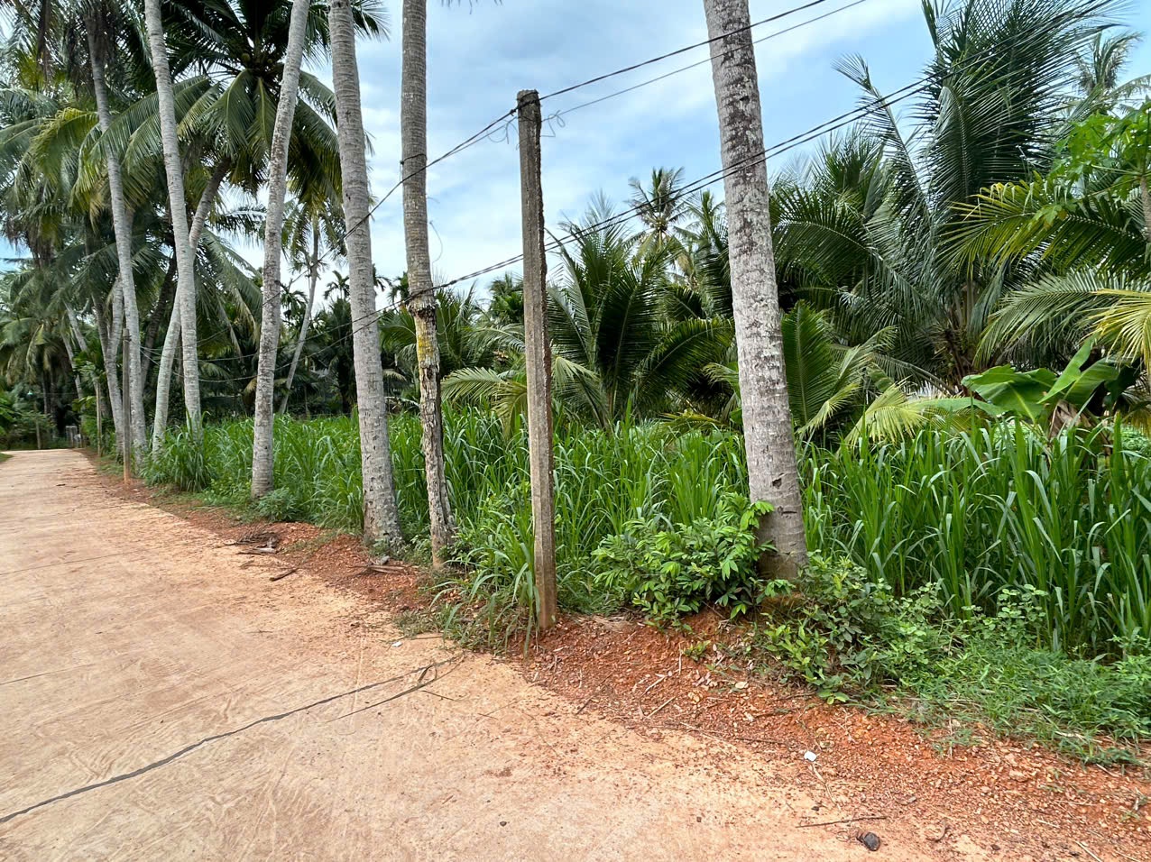 đất vườn giá rẻ hoài xuân